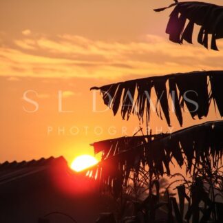 Sunrise of the Congo - S L Davis Photography