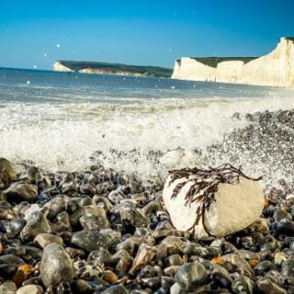 A Splash of Seaweed - S L Davis Photography